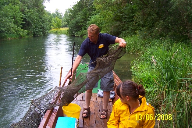 100_2133.JPG - Eine geführte Kahnfahrt auf der verzweigten Flußlandschaft des Naturschutzgebietes Taubergießen