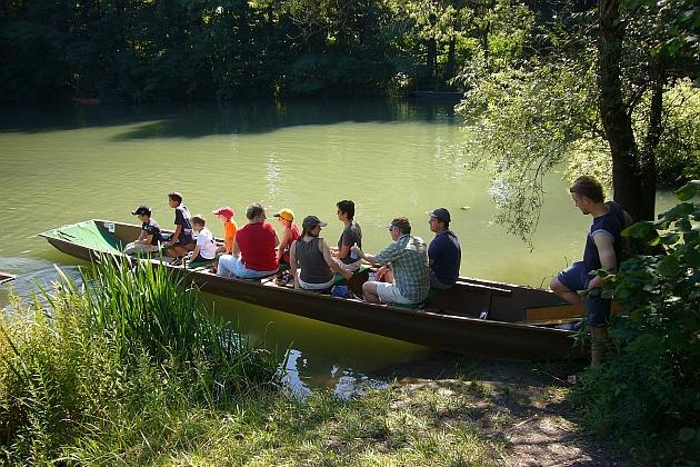 P1020780.JPG - Eine geführte Kahnfahrt auf der verzweigten Flußlandschaft des Naturschutzgebietes Taubergießen