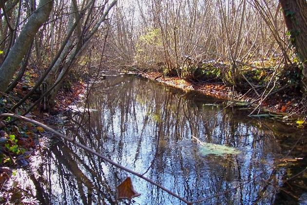 100_0267.jpg - Einer der längsten und klarsten Gießen im Naturschutzgebiet ...