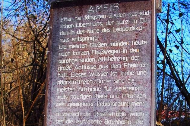 b_angebot-16.jpg - Die 'Ameise' (s'Omaisli): ...