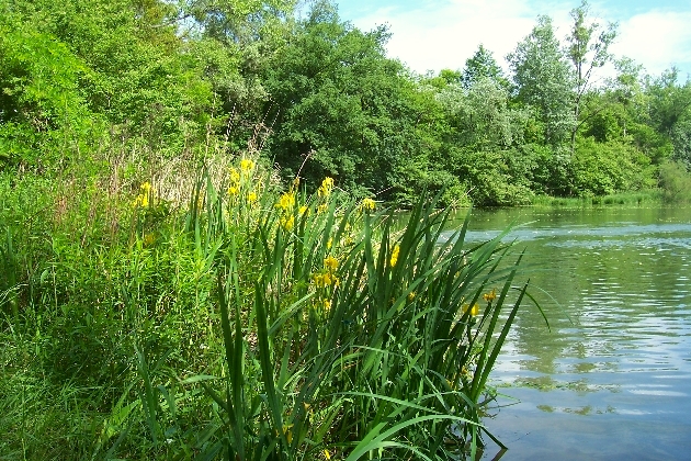 100_1641.JPG - ---