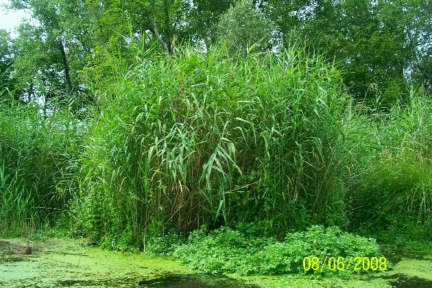 100_2121.JPG - ---