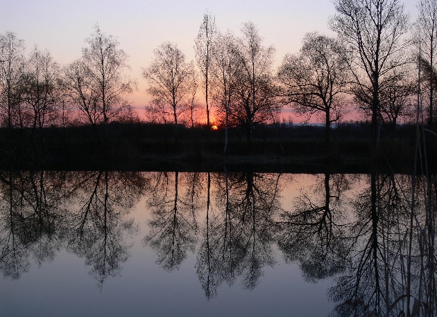 P1030965.JPG - Abendstimmung im Naturschutzgebiet Taubergießen beim Europa-Park Rust