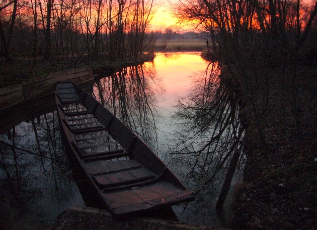 P1040398.JPG - Abendstimmung im Naturschutzgebiet Taubergießen beim Europa-Park Rust