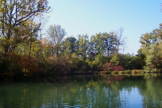 100_1322.JPG - Herbst im Naturschutzgebiet Taubergießen beim Europa-Park Rust