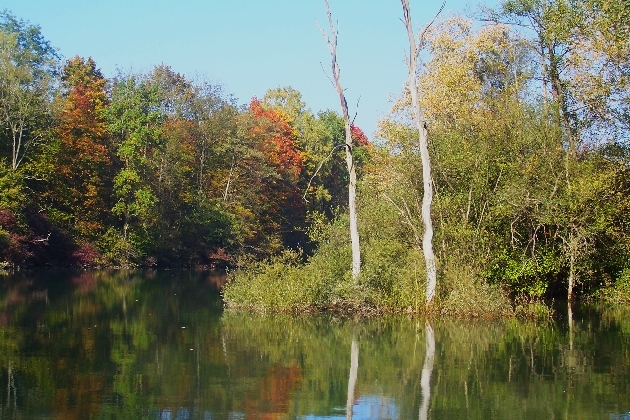 100_1334.JPG - Herbst im Naturschutzgebiet Taubergießen beim Europa-Park Rust