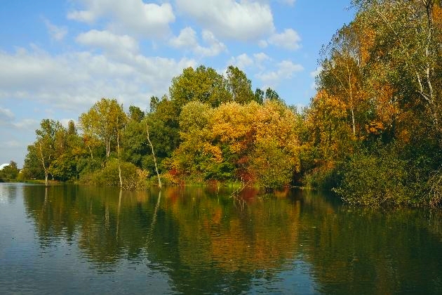 DSC_6236.JPG - Herbst im Naturschutzgebiet Taubergießen beim Europa-Park Rust