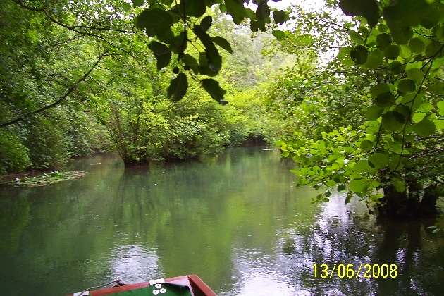 100_2144.JPG - Sommer im Naturschutzgebiet Taubergießen beim Europa-Park Rust